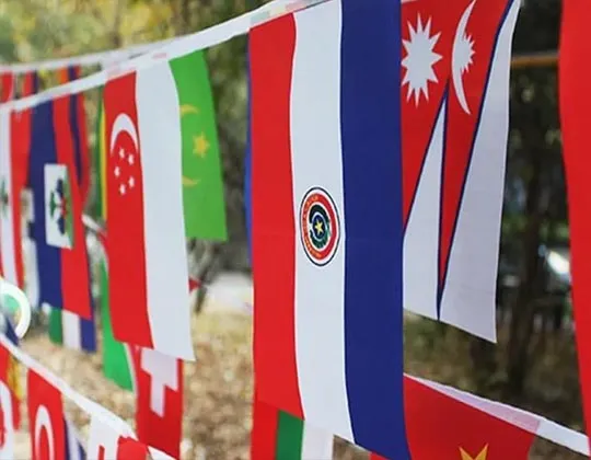  Bunting Flags Oman